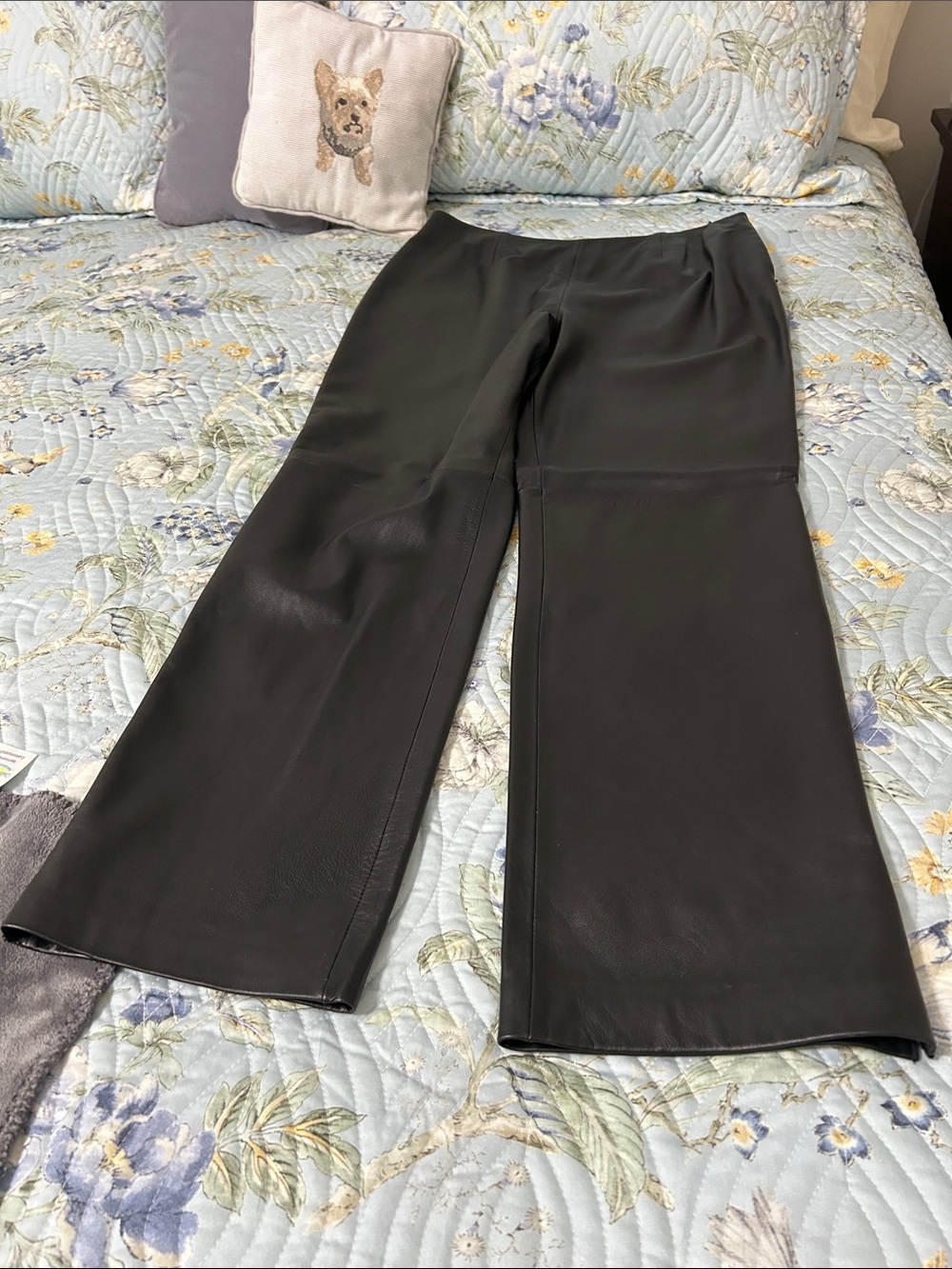 Dark Brown leather pants.